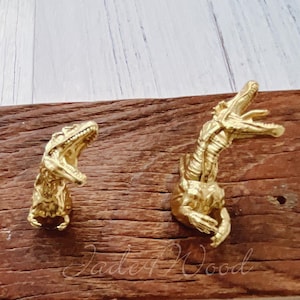 Peut inclure: Trois crochets dorés en forme de tête de dinosaure montés sur une planche de bois vieillie. Les crochets présentent des bouches ouvertes et une peau texturée, parfaits pour une décoration sur le thème préhistorique.