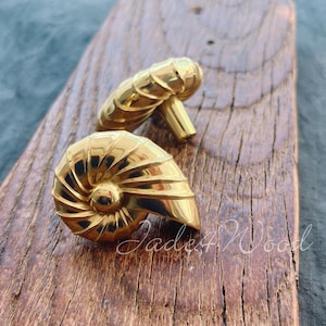 May include: Two gold-toned seashell-shaped cabinet knobs. The knobs have a detailed, spiral design and are shown on a wooden surface.