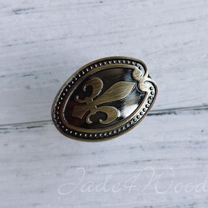 May include: A gold-toned oval cabinet knob with a fleur-de-lis design.
