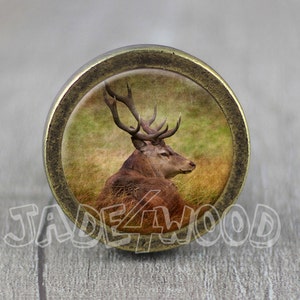 May include: A round, brass-colored knob with a vintage-style image of a brown deer with antlers in a grassy field.