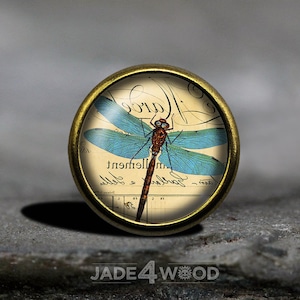 May include: A gold-toned round button with a glass top featuring a vintage illustration of a dragonfly with blue wings on a cream background with handwritten text.