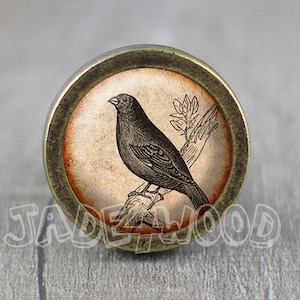 Könnte beinhalten: Ein runder, messingfarbener Knopf mit einem Vintage-Bild eines schwarzen Vogels, der auf einem Ast sitzt. Das Bild ist von einem braunen, strukturierten Rand umgeben.