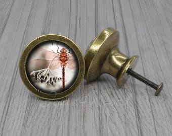 Dragonfly byråknopp / Byråhandtag / Skåpknopp / Möbelknopp