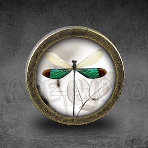 Può includere: Un pomello rotondo color ottone con un inserto di vetro che presenta una libellula verde e bianca su uno sfondo bianco.