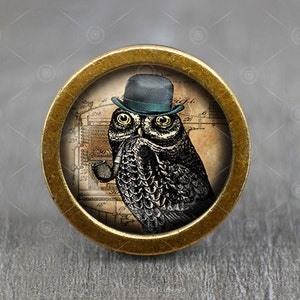 May include: A round, gold-toned knob with a black and white owl wearing a blue and green hat. The owl is holding a pipe in its beak. The knob has a vintage design with a background of a faded, brown, architectural blueprint.