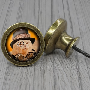 Steampunk Cat Glass Cabochon Bronze Knob: Dresser/Cabinet Pull
