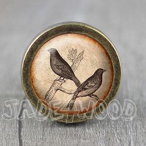 May include: A round, brass-colored knob with a vintage-style image of two birds perched on a branch. The image is printed on a cream-colored background with a reddish-brown border.