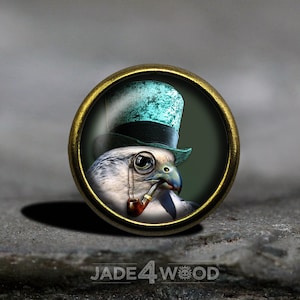 Peut inclure: Un bouton rond en laiton avec une image d'un oiseau portant un chapeau haut de forme turquoise et une monocle. L'oiseau tient un tuyau dans son bec.