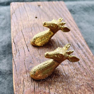 Op de afbeelding: Twee gouden hertenkopvormige haken gemonteerd op een rustiek houten oppervlak.