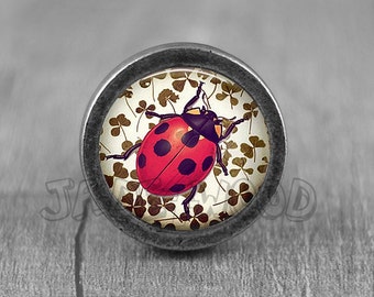 Ladybug Glass Cabochon Bronze cabinet Dresser Knob pull / Dresser Pull / Cabinet Knob / Furniture Knob