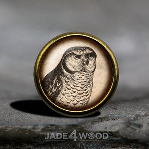 May include: A round, brass-colored button with a vintage illustration of an owl. The owl is drawn in black and white and has a detailed, feathery pattern.