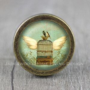 Puede incluir: Un pomo de armario redondo de color latón con un inserto de vidrio que presenta una ilustración vintage de una jaula de pájaros con dos pájaros y alas. El texto "Fantasie Brillante" está escrito en letras doradas alrededor de la parte superior de la imagen.