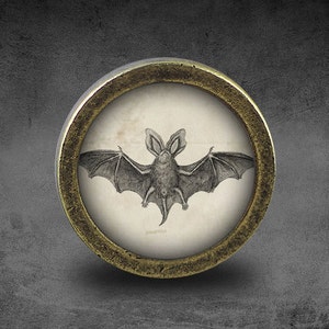 Bat Cabinet Dresser Knob pull / Dresser Pull / Cabinet Knob / Furniture Knob