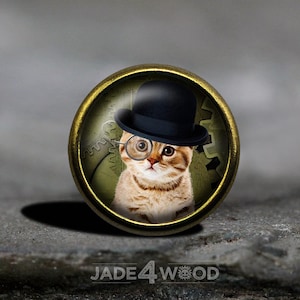 Puede incluir: Un pin redondo de color latón con una cúpula de vidrio que presenta un gato con un sombrero bombín negro y gafas redondas. El gato está mirando directamente al espectador. El fondo es un diseño steampunk verde y dorado con engranajes.