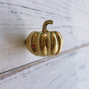Pumpkin Solid Brass Dresser Handle Pull Knob Pull Handle / Kitchen Cabinet Pull Handle Knob Furniture Hardware WM1934