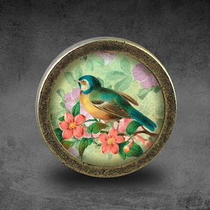 Könnte beinhalten: Ein runder, messingfarbener Knopf mit einem Glaseinsatz, der einen blauen und gelben Vogel zeigt, der auf einem Zweig mit rosa Blüten sitzt. Der Hintergrund ist ein grünes und weißes Blumenmuster.
