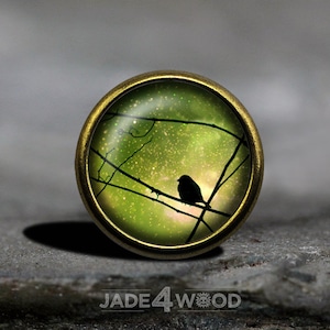 May include: A round, green and gold button featuring a silhouette of a bird perched on a branch against a starry sky background.