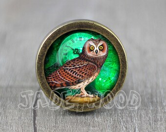 Steampunk owl Cabinet Dresser Knob pull / Dresser Pull / Cabinet Knob / Furniture Knob