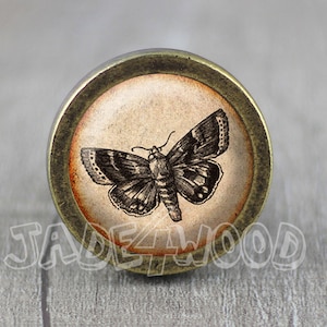 May include: A round, brass-colored knob with a vintage-style image of a moth on a cream-colored background.