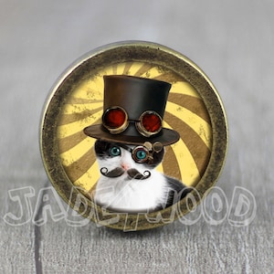 May include: A round, gold-coloured knob featuring a black and white cat wearing a top hat and goggles. The cat has a moustache and the background is a yellow and brown sunburst pattern.