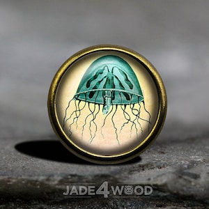 Quallen Glas Cabochon Knauf Knauf Knauf Möbel Knauf