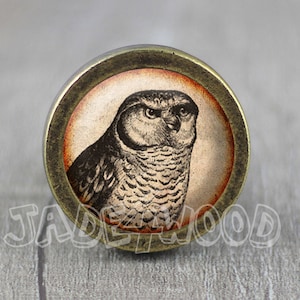 May include: A round, brass-colored knob with a vintage-style image of an owl with brown and white feathers. The owl is looking to the right. The knob is perfect for adding a touch of rustic charm to any home decor.