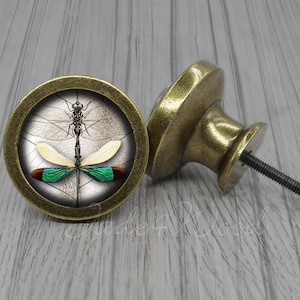 Libelle Möbelknauf / Möbelknauf / Möbelknauf / Möbelknauf