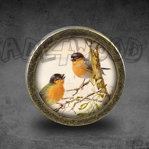 Może przedstawiać: Okrągły, mosiężny gałka z vintage obrazem dwóch ptaków siedzących na gałęzi. Ptaki są brązowe, żółte i zielone z czarnymi oczami.