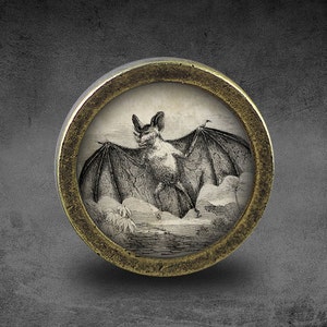 Bat Cabinet Dresser Knob pull / Dresser Pull / Cabinet Knob / Furniture Knob
