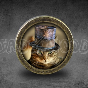 May include: A brown and white cat wearing a black top hat with a blue and silver band. The cat is looking directly at the camera. The cat is framed in a round, gold-colored frame.
