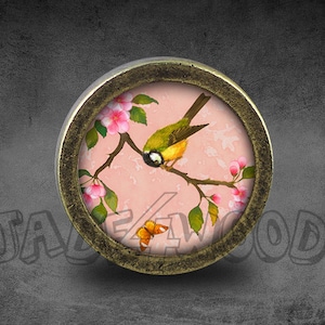 Può includere: Un pomello rotondo color ottone con un design floreale rosa e bianco che presenta un uccello giallo e una farfalla. Il pomello è perfetto per aggiungere un tocco di fascino vintage ai mobili.