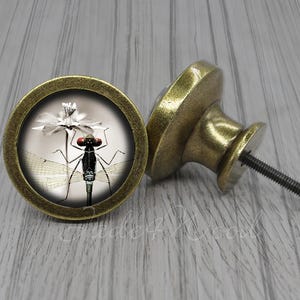 Libelle Möbelknauf / Möbelknauf / Möbelknauf / Möbelknauf