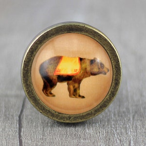 May include: A round, brass-colored knob with a glass insert featuring a brown bear wearing a yellow and orange costume. The bear is standing on a light brown background.