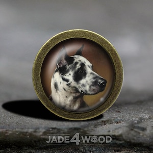 Dog Photo Glass Cabochon Vintage Dresser Knob Cabinet Pull Drawer handle Furniture Hardware