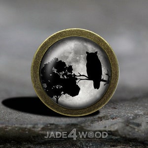 Könnte beinhalten: Eine runde, goldfarbene Metallnadel mit einer Glaskuppel, die eine schwarze Silhouette einer Eule zeigt, die auf einem Ast vor einem Vollmond sitzt.