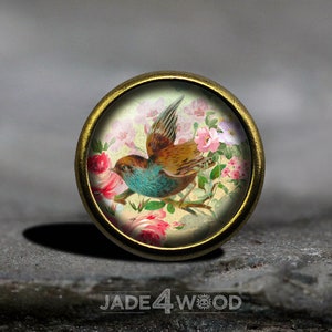 May include: A round, brass-colored knob with a glass insert featuring a vintage illustration of a blue and brown bird flying over pink and white flowers.