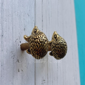 Può includere: Due pomelli per armadi a forma di riccio color ottone. I pomelli sono attaccati a un tassello di legno e montati su una superficie di legno bianca e azzurra. I ricci hanno corpi strutturati e dettagliati.
