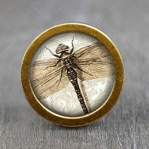 Puede incluir: Un pomo redondo dorado con un fondo blanco que presenta una ilustración detallada de una libélula con alas marrones y un cuerpo negro.