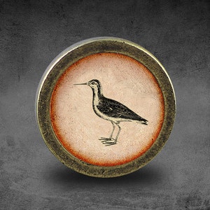 May include: A round, brass-colored, decorative knob with a raised, circular, orange-colored border. The center of the knob features a black and white illustration of a bird on a light pink background.