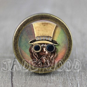 May include: A round, antique-style cabinet knob with a steampunk design. The knob features a brass-colored rim and a central image of a lion wearing a top hat and goggles. The hat has a rhinestone band. The background has a gradient of green, yellow, and brown.