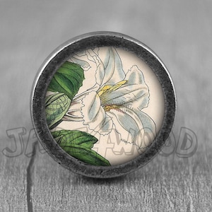 Puede incluir: Una flor blanca con centro amarillo y hojas verdes sobre un fondo crema. La imagen está enmarcada en un pomo de metal plateado.