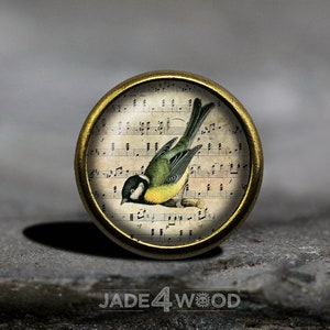 以下が含まれることがあります： 楽譜を背景に、枝に止まっている緑と黄色の鳥のヴィンテージイラストが描かれた、ガラス製のトップを持つ丸い金色ボタン