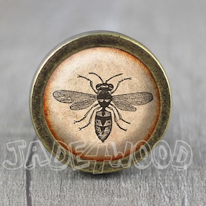 May include: A round, brass-colored knob with a vintage-style image of a wasp on a cream-colored background.