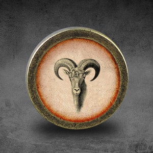May include: A round, brass-coloured, decorative knob with a raised, circular, orange-brown border. The centre of the knob features a vintage illustration of a ram's head with large, curled horns.