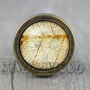 Może przedstawiać: Okrągły, mosiężny gałka z wzorem liścia. Liść jest jasnobrązowy z białym wzorem żyłek.