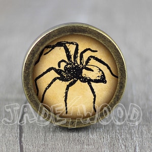 Vintage Spider Glass Cabochon Bronze cabinet Dresser Knob pull / Dresser Pull / Cabinet Knob / Furniture Knob