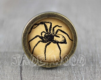 Vintage Spinne Glas Cabochon Bronze Möbel Knauf / Knauf / Möbel Knauf / Kabinett Knauf