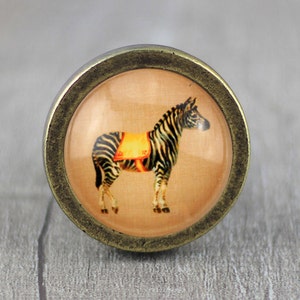 May include: A round, brass-colored knob with a glass insert featuring a black and white zebra with a yellow saddle. The zebra is standing on a light brown background.