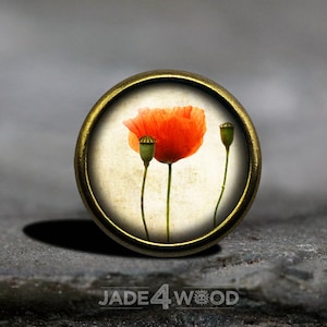 May include: A round, brass-colored pendant with a vintage-style image of a single red poppy flower with two closed buds.