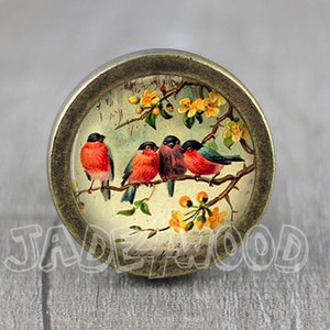 Pode incluir: Um botão redondo de cor latão com um inserto de vidro que apresenta uma ilustração vintage de cinco pássaros de peito vermelho empoleirados em um galho com flores amarelas.